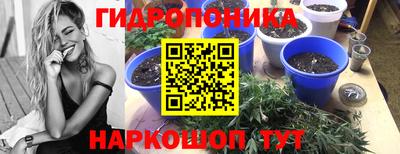 первитин Бийск
