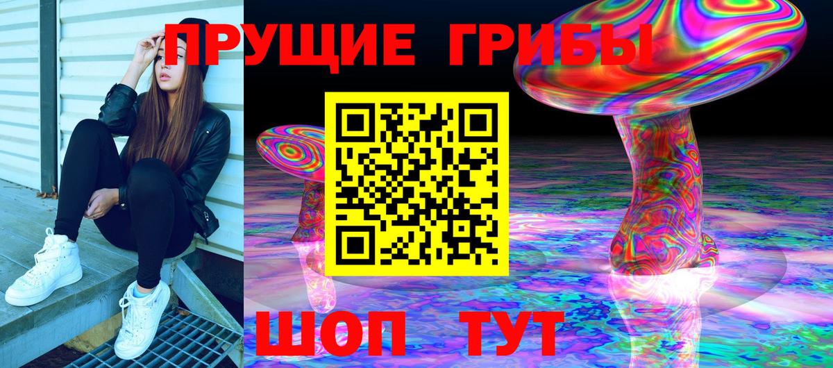 Псилоцибиновые грибы прущие грибы Ишимбай