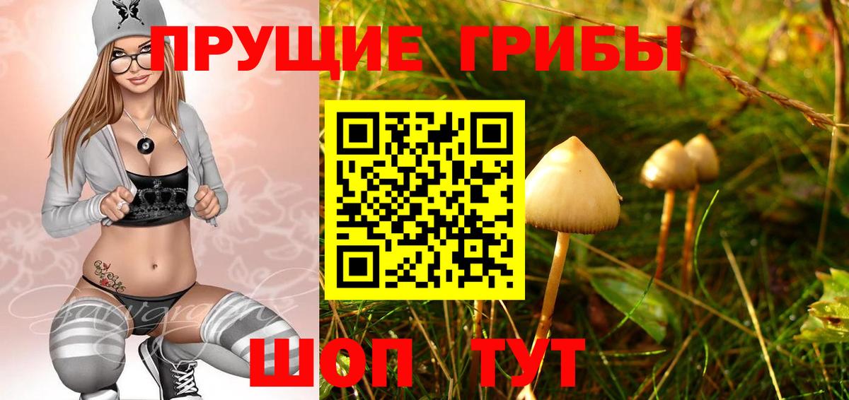 Ишимбай  Галлюциногенные грибы мухоморы  Вход с VPN 